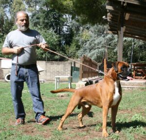 Gimmy e Ugo della Gens Flaminia