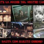 stop-cani-est